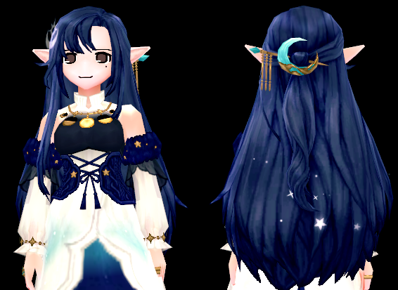 Mabinogi Constellation Guardian Wig and Hairpiece (F)