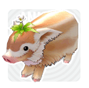 Mabinogi Clover Pig Permanent Pet