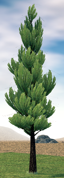 Mabinogi Homestead Hamonious Japanese Cedar Tree