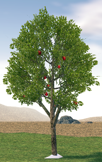 Mabinogi Homestead Harmonious Snowfield Apple Tree