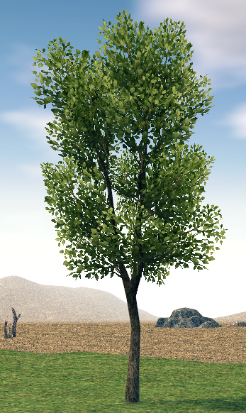 Mabinogi Homestead Harmonious Prairie Tree