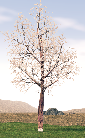 Mabinogi Homestead Harmonious Snowfield Tree 1