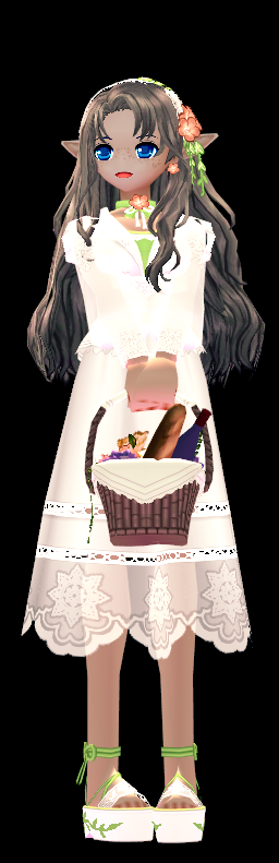 Mabinogi Secret Garden Flower Basket