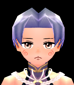 Mabinogi Pointy Maelstrom Face Beauty Coupon (M)