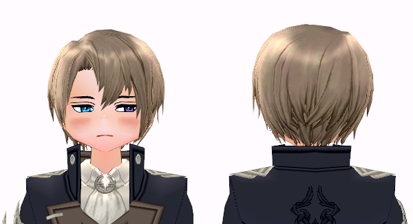 Mabinogi Scholar Wig (M)