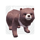 Mini Bear