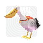 Pelican