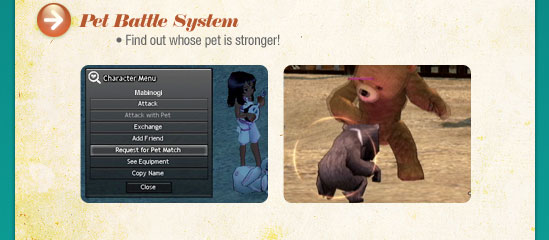 Pet Battle System