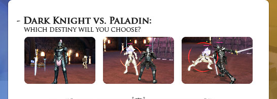 Dark Knight vs. Paladin